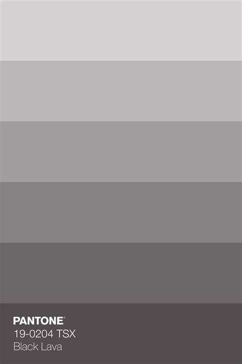 Pantone Tsx Black Lava Colour Tint Pantone Color Chart