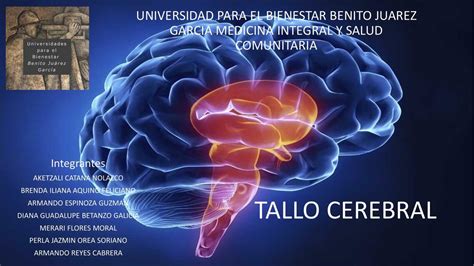 Tallo Cerebral Armando Reyes Cabrera UDocz