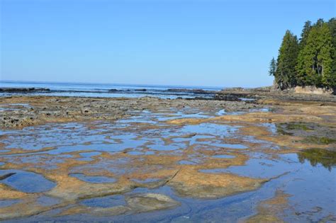 Botanical Beach Port Renfrew,BC | Natural landmarks, Beach, West coast