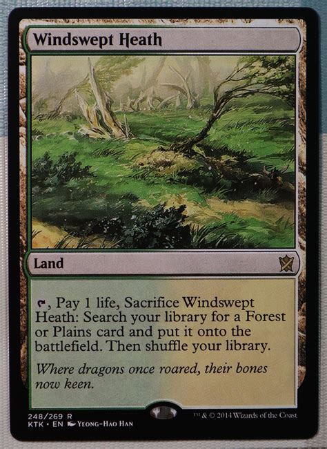 Windswept Heath Ktk Khans Of Tarkir Hologram Mtg Proxy Cards