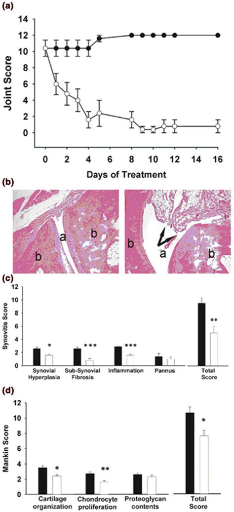 Effect Of MAb C11C1 On HLA B27 Transgenic Rat Inflammatory Arthritis