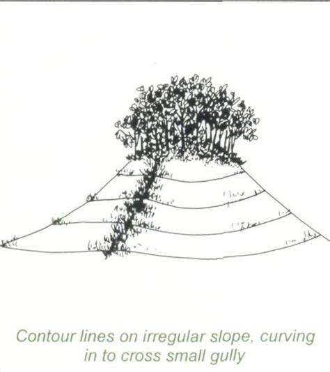 41 Soil Erosion Control With Contour Planting