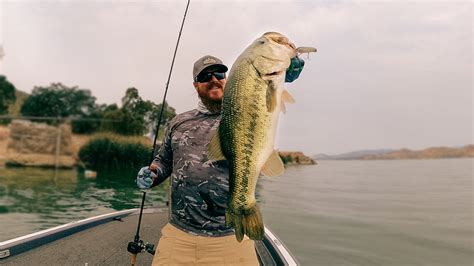 Topwater — Tactical Bassin Bass Fishing Blog