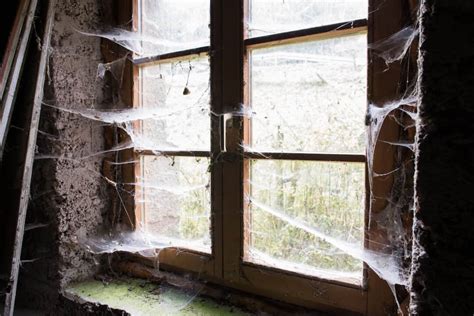 The Real Reason There Are Cobwebs In Your House Rent Blog