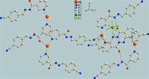 Iucr Catena Poly N Cyanobenzylidene Nicotinohydrazide