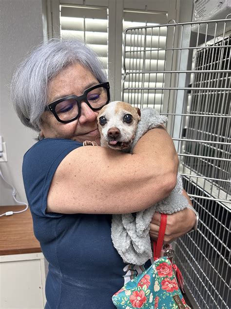 SPCA of Texas | Microchipping Saves Families - SPCA of Texas