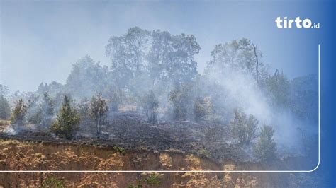 Bmkg Deteksi Titik Panas Di Kalimantan Timur