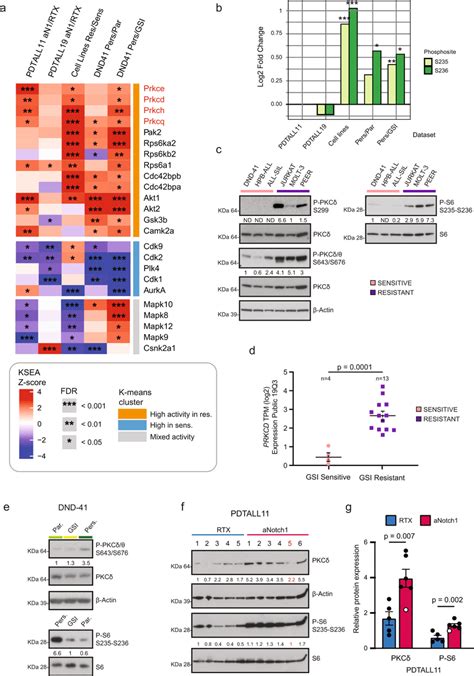 Kinase Signature Associated With Resistance To Notchi Reveals Pkc