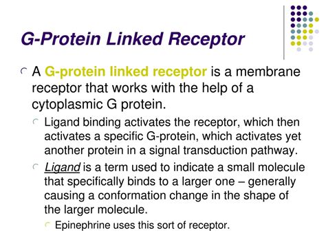 Ppt Cell Communication Signal Transduction Powerpoint Presentation