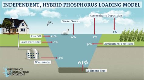 Independent Hybrid Phosphorus Loading Model Friends Of Georgica Pond