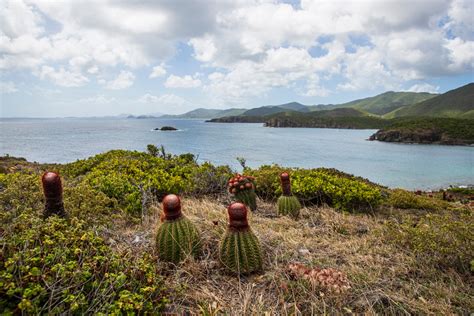 Virgin Islands National Park – National Park Field Guide