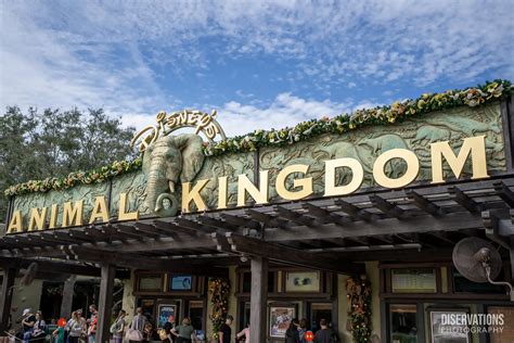 Disney World Raises Ticket Prices for 2025 - Diservations