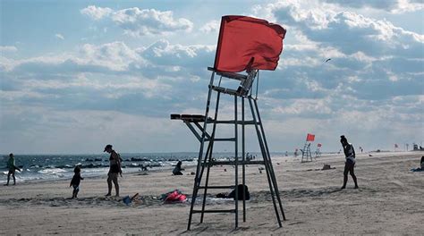 Cierran Una De Las Playas Más Icónicas De Nueva York Por El Ataque De Un Tiburón Los Tiempos