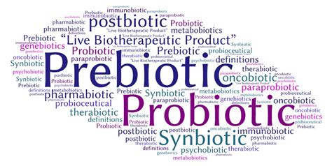 Significance Of Prebiotics Probiotics And Synbiotics As 59 Off