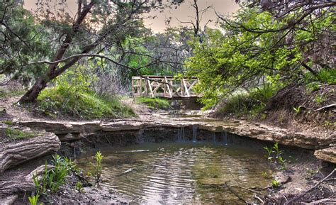 Cedar Ridge Preserve Field Trip Npat