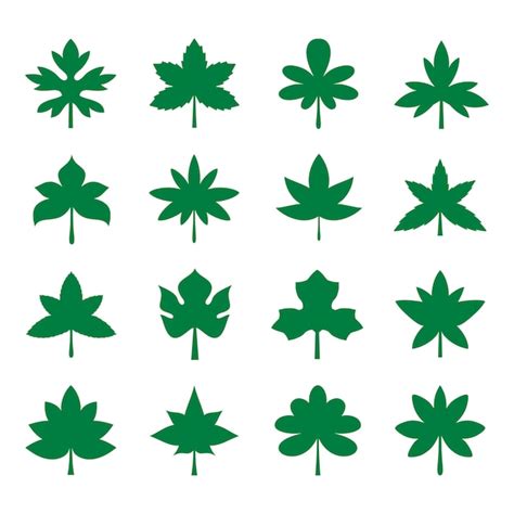 Premium Vector Green Leaf Icon Set