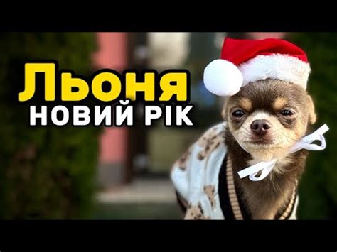 Льоня Новий рік - YouTube