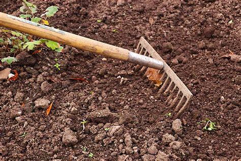 6 Essential Gardening Tools For Beginners The Gardening Toolshed