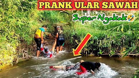 Prank Ular Sawah Super Ngakak Auto Lari Kocar Kacir Funny Snake