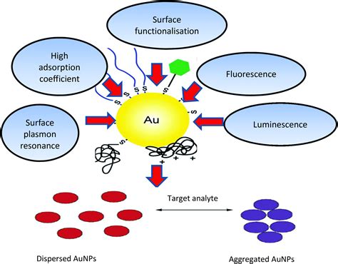 Gold Nanoparticle Based Colorimetric Biosensors Nanoscale RSC