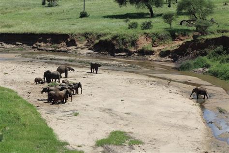 Day Safari Trip To Lake Manyara Ngorongoro Mid Range Marriott