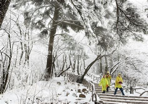 Yellow Mountain - The Yellow Mountain, China