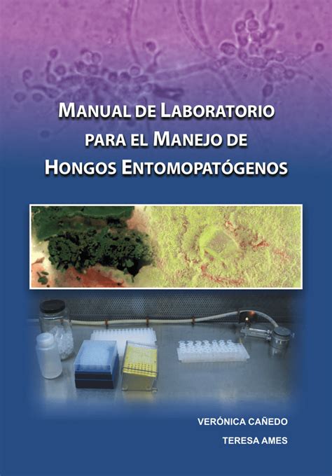 Hongos Entompatogenos Producci N A Nivel De Laboratorio Pdf