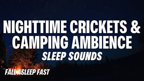 Night Time Crickets Sleep Sounds Youtube