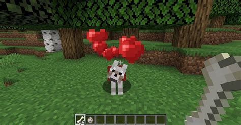 How to tame a wolf in Minecraft