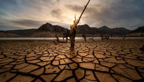 Watch Pakistan Observes World Desertification And Drought Day