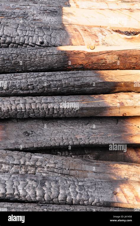 Burnt Wooden Log