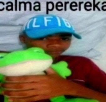 Calma Perereca Memes Funny Images Funny Memes