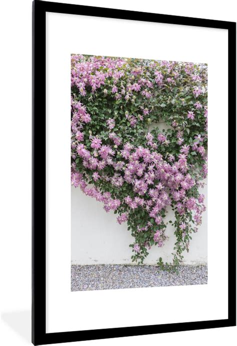 Fotolijst Incl Poster Klimplant Met Roze Bloemen X Cm