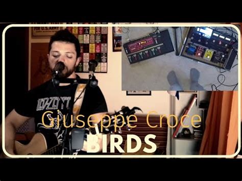 Birds Imagine Dragons Feat Elisa Loop Cover Giuseppe Croce Youtube