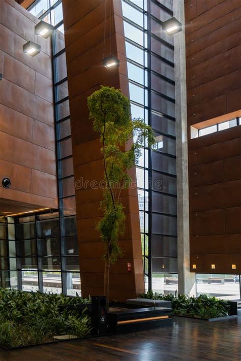 Indoor Trees Modern Interior Design In European Solidarity Centre