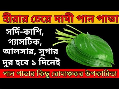 Pan Patar Upokarita In Bengali Pan Patar Ros Bangla Pan Pata Khele