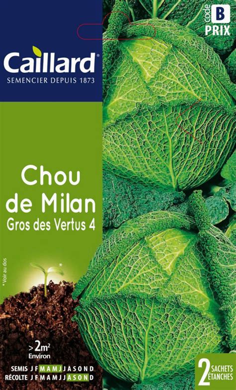 Caillard Graines De Chou De Milan Gros Des Vertus Gamm Vert