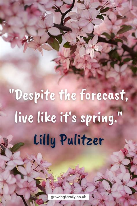 100 Spring Quotes And Spring Sayings To Inspire And Energise You