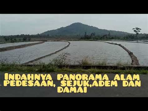 Indahnya Panorama Alam Pedesaan Sejuk Adem Dan Damai YouTube