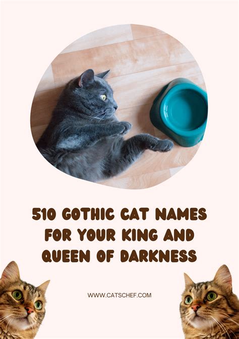 510 Gothic Cat Names For Your King And Queen Of Darkness