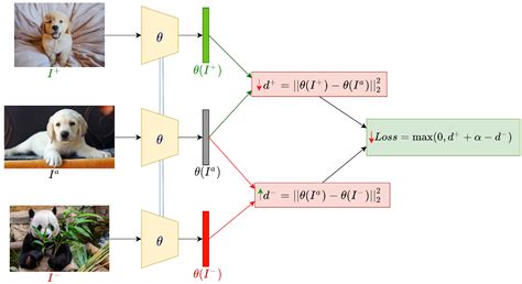 Everything You Need To Know About Few Shot Learning