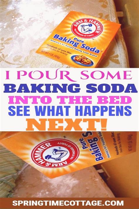 Put Some Baking Soda Into The Bed See What Happens Next We Use Baking