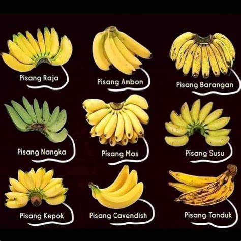jenis jenis pisang rnegarakumalaysia