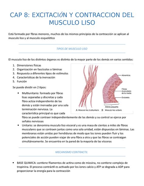 Capitulo 8 Y 9 Tratado De Fisiologia De Guyton Y Hall CAP 8