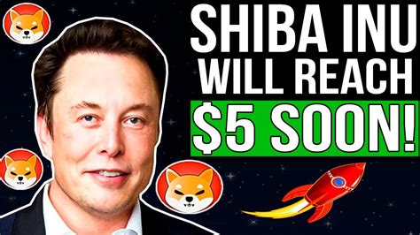 Elon Musk Shiba Inu Set To Explode 5 Coming Shiba Inu Price