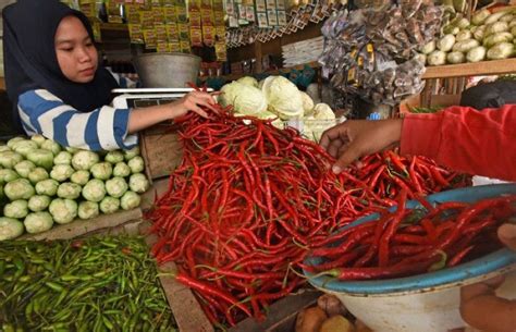 Kemenhub Turut Andil Jaga Stabilisasi Pasokan Dan Harga Pangan Guna