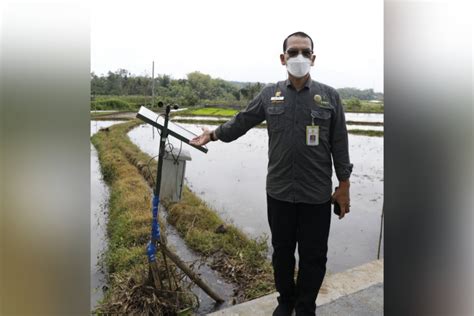 Antisipasi Musim Kemarau Kementan Optimalkan Lahan Sawah Melalui