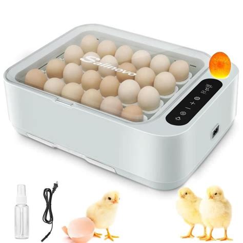 Couveuse Automatique 12 oeufs Poussin avec Mire œufs Incubateur