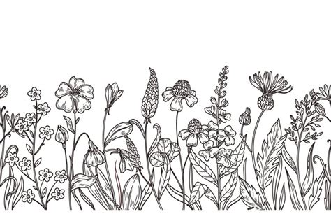 Sketch wild flowers pattern. Field plants, flower hand drawn