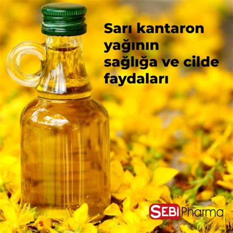 Sarı kantaron yağının sağlığa ve cilde faydaları